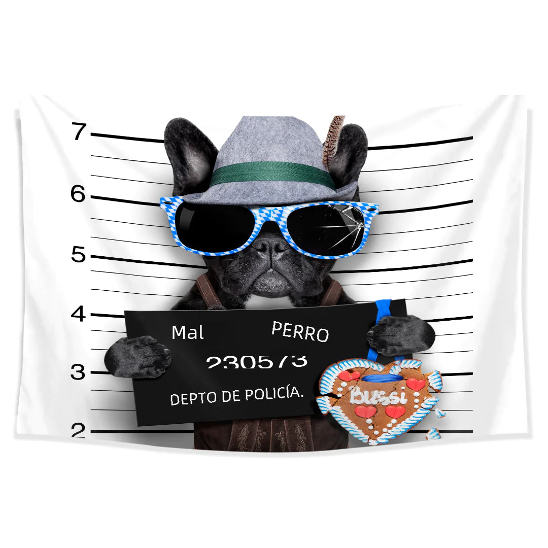 Custom Tapestry Wall Decor for Live Streaming Rooms